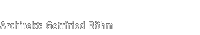 Architekt: Gottfried B&ouml;hm